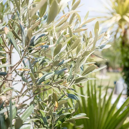 Lointaines Escapades Panzió Perpignan