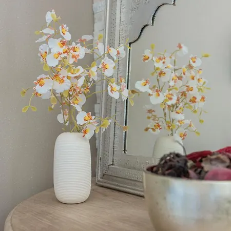 Lointaines Escapades 3* Perpignan