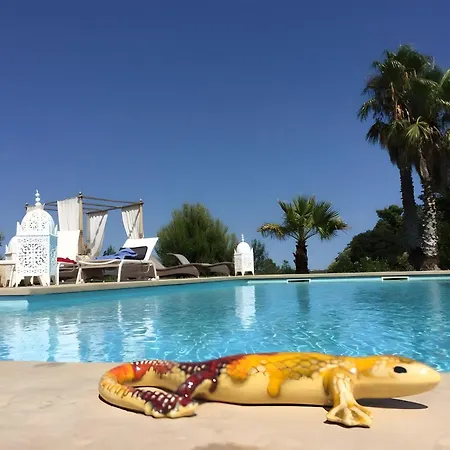 Lointaines Escapades 4* Perpignan